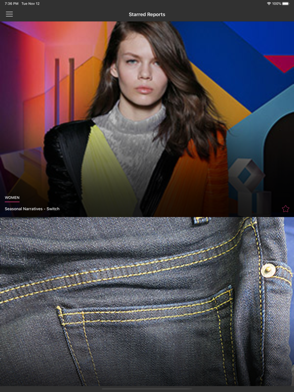 Fashion Snoops iPad screenshot 1 - Business app