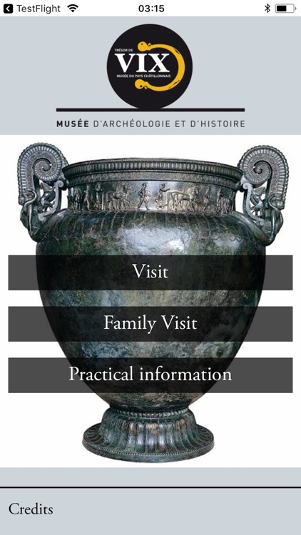 The Vix Treasure Museum Guide