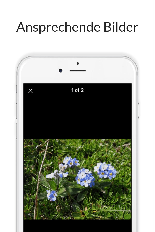 Flora des Alpenraums screenshot 4
