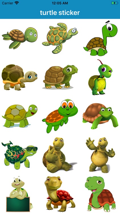 turtle sticker