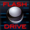 Flash Drive Business icon