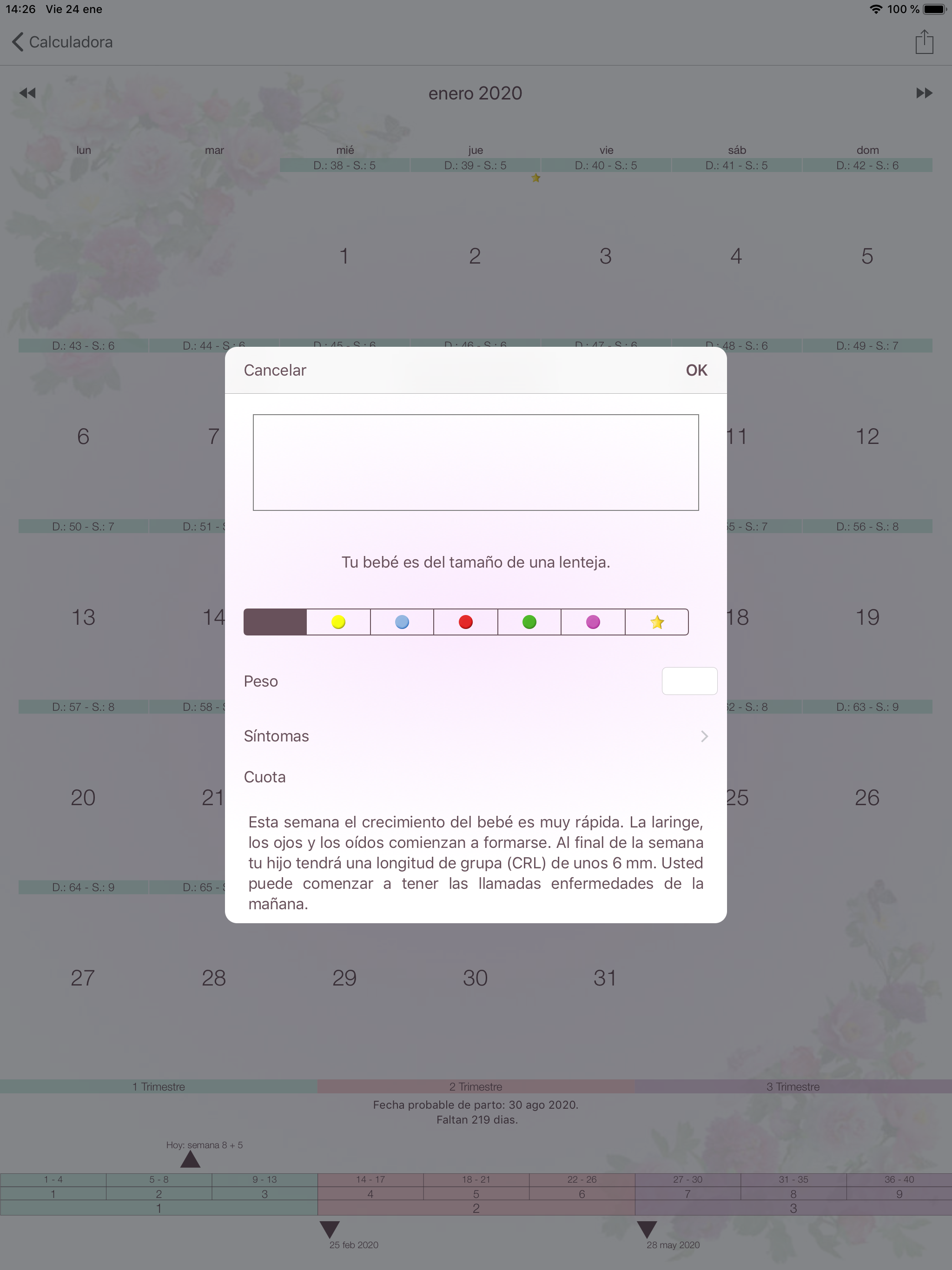 https://is1-ssl.mzstatic.com/image/thumb/Purple113/v4/04/0a/0f/040a0fd3-c1d3-7e52-bc13-9ece2fd6ba1d/pr_source.png/2048x2732.png