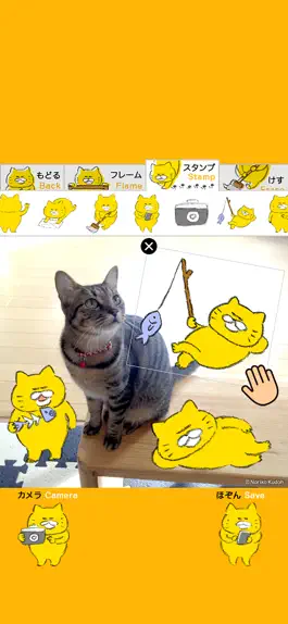 Game screenshot Stray Cats Camera hack