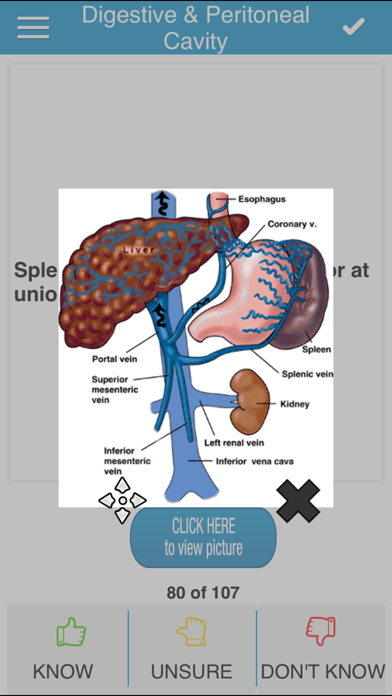 USMLE Anatomy Cram Cards Screenshot