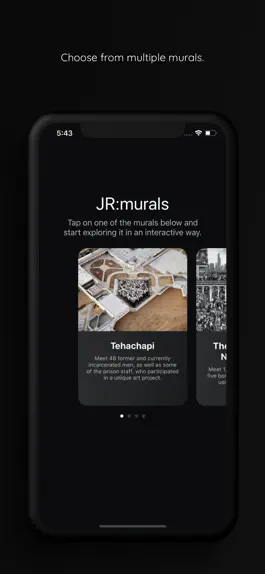 Game screenshot JR:murals hack