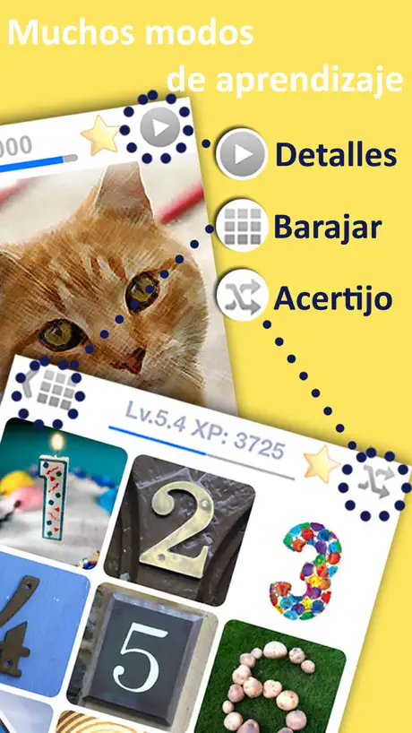 LingoCards 50 Idioma y Coreano