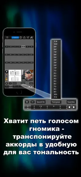 Game screenshot Аккорды для Укулеле LR hack