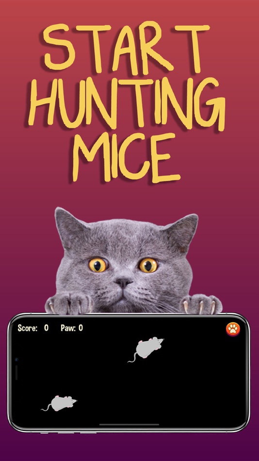 #3. Cat Games (iOS) 由: Mindsoft Technology