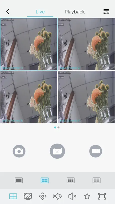 MaterMap