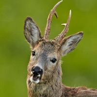 JAGD&NATUR pour PC
