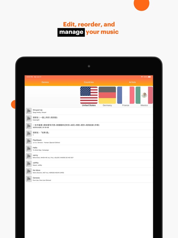 iPad Image of Musi - Simple Music Streaming