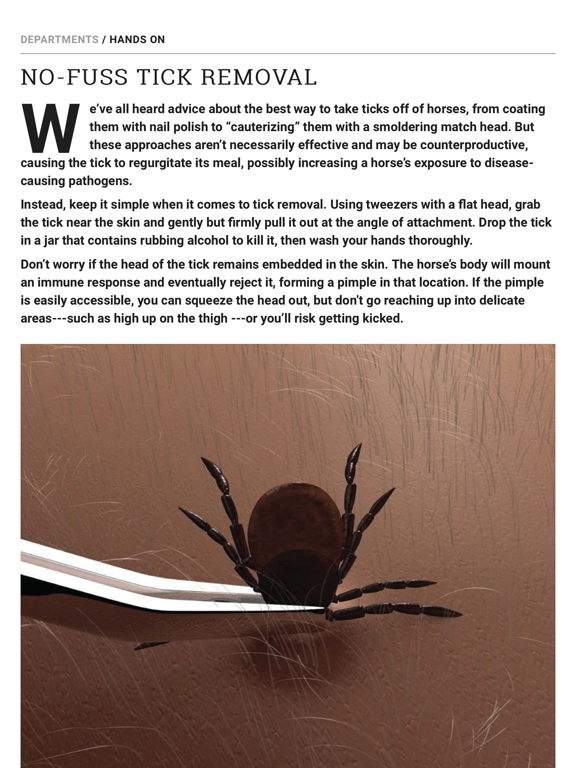 EQUUS Magazine iPad screenshot 5 - Lifestyle app