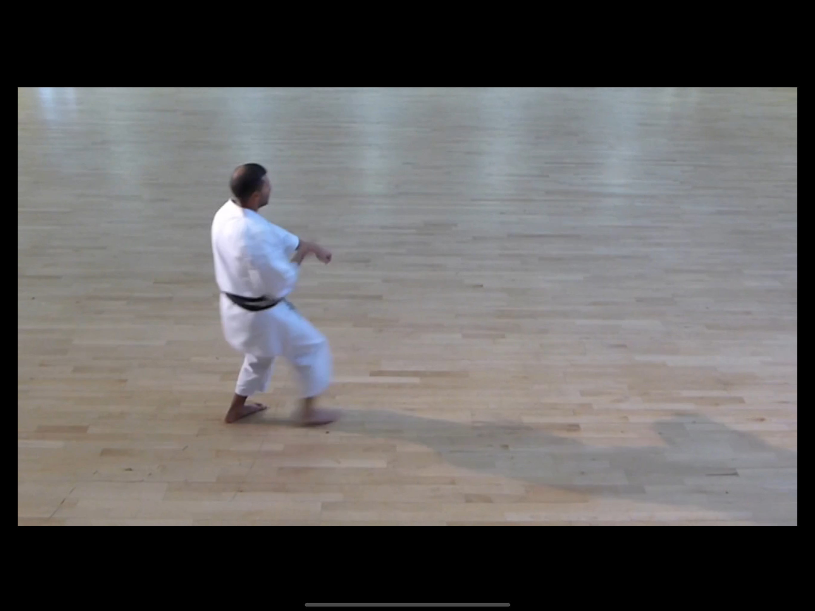 Nidan Grading Syllabus screenshot 9