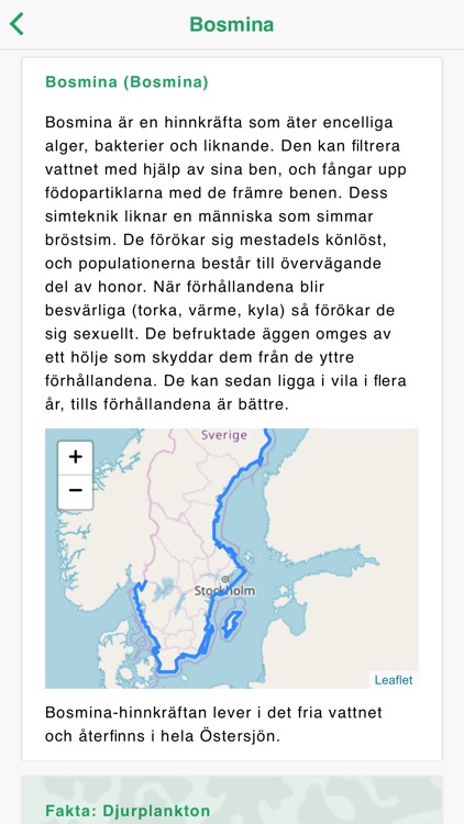 Livet i Havet screenshot-5
