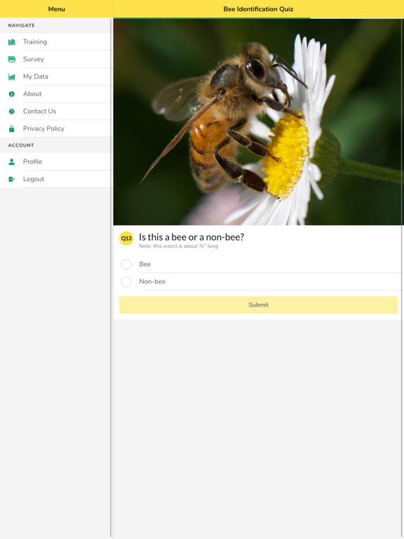 WiBee iPad screenshot 3 - Education app