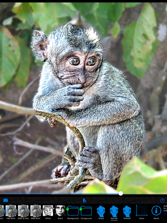 HDR Portrait iPad screenshot 8 - Photo & Video app