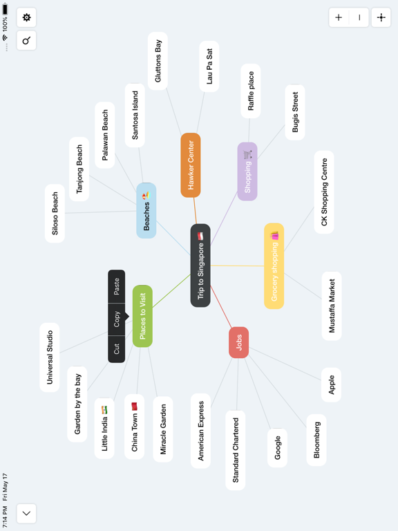 Mind Mapping - Mappy iPad screenshot 3 - Business app