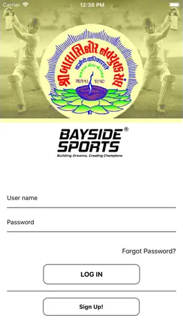 Game screenshot Balasinor Cricket apk