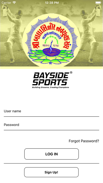 Balasinor Cricket Screenshot