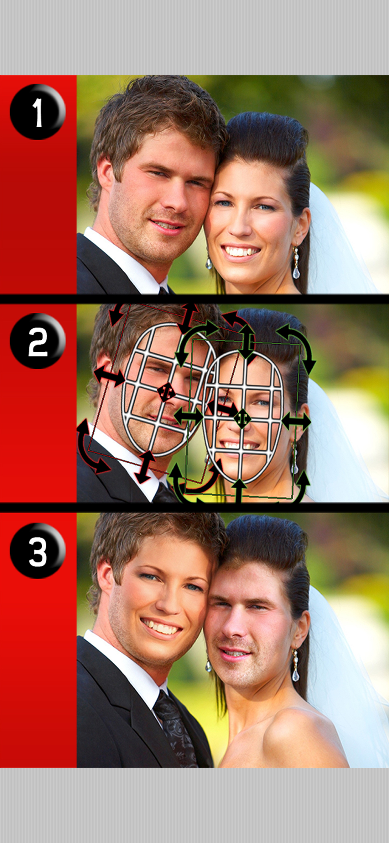 iSwap Faces Pro