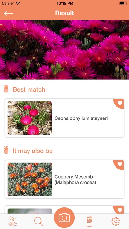 PlantDetect - Plant Identifier screenshot-5