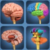 My Brain Anatomy - iPadアプリ