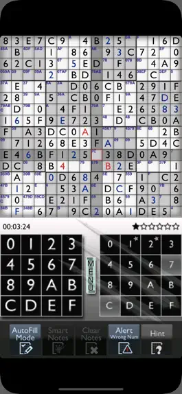 Game screenshot Sudoku 16x16 apk