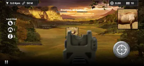 Deer Target Shooting