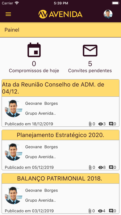Grupo Avenida - Governança screenshot 2