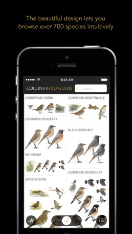 Collins British Bird Guideのおすすめ画像1