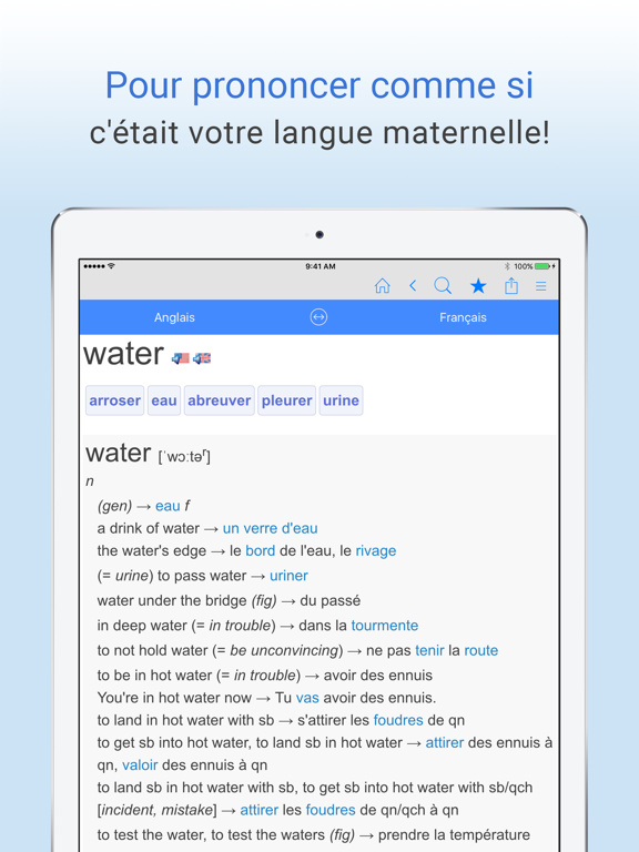 Dictionnaire français anglais iPad screenshot 5 - Reference app