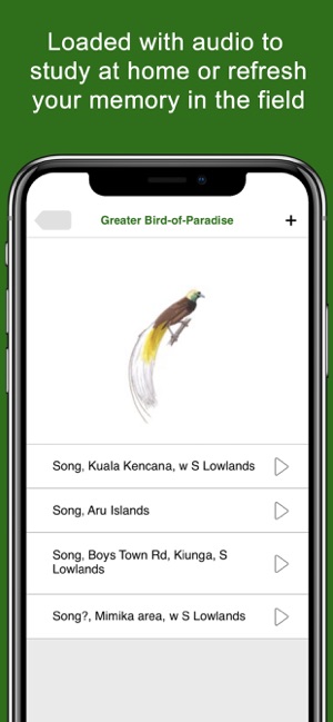 Birds of New Guinea(圖5)-速報App