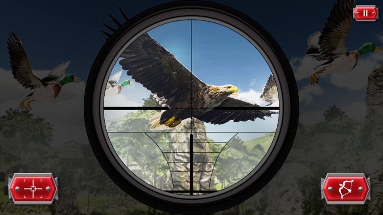 Birds Hunting 2019: Simulator