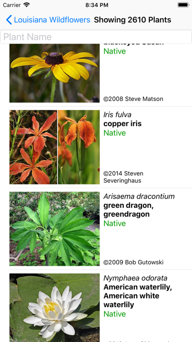 Louisiana Wildflowers Screenshot