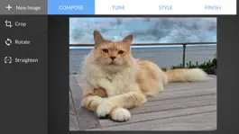 Game screenshot MyMoments.org mod apk