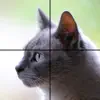 Adorable Cat Puzzles delete, cancel