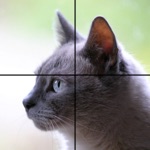 Download Adorable Cat Puzzles app