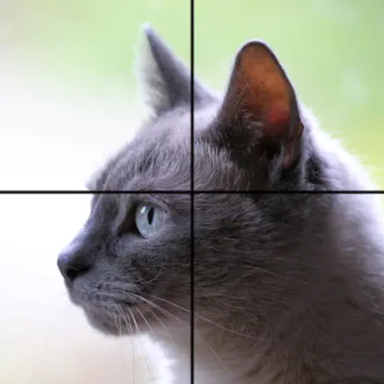 Adorable Cat Puzzles Cheats