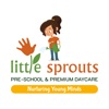 Little Sprouts Koregaon Park
