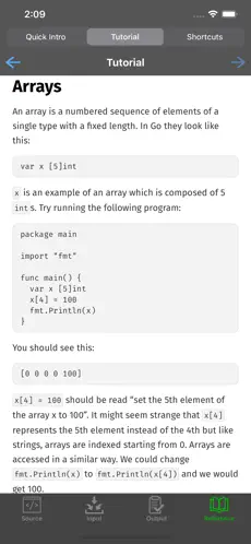 Imágen 3 Go Programming Compiler iphone