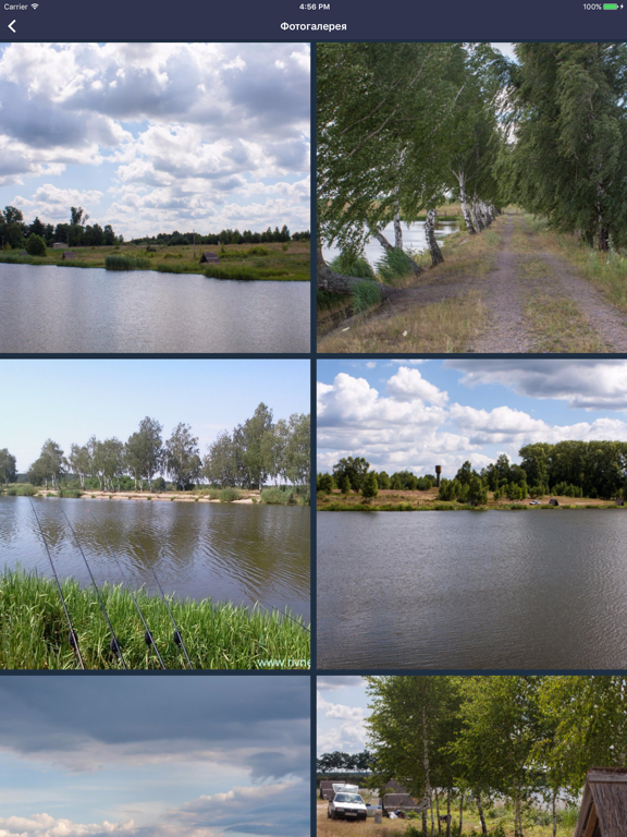 Screenshot #6 pour Rivnefish