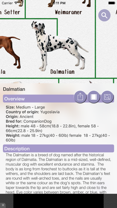 Dog's Family Screenshot