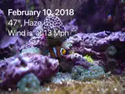 aquarium 4k - ultra hd video ipad resimleri 4