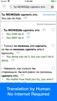 russian translator offline iphone screenshot 2