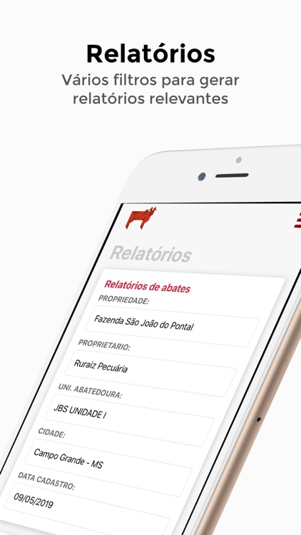 Padroniza screenshot-4