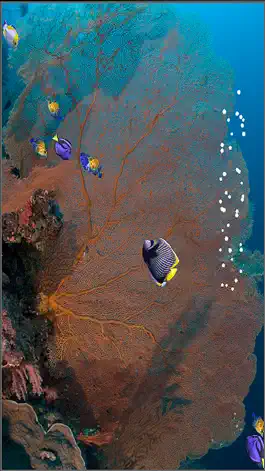 Game screenshot Fishies hack