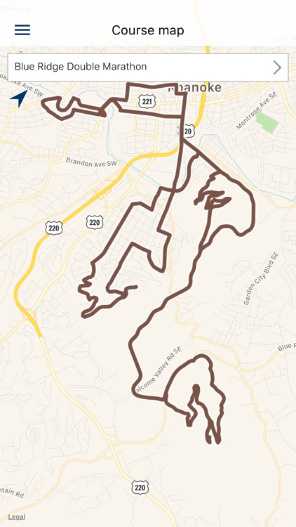Blue Ridge Marathon 2019 screenshot-4