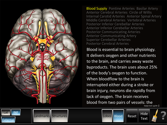 Screenshot #6 pour Cerebrum ID