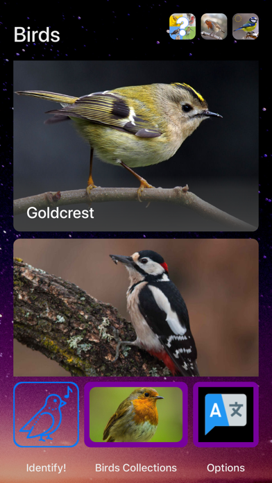 Bird Song/Photo Identification Screenshot