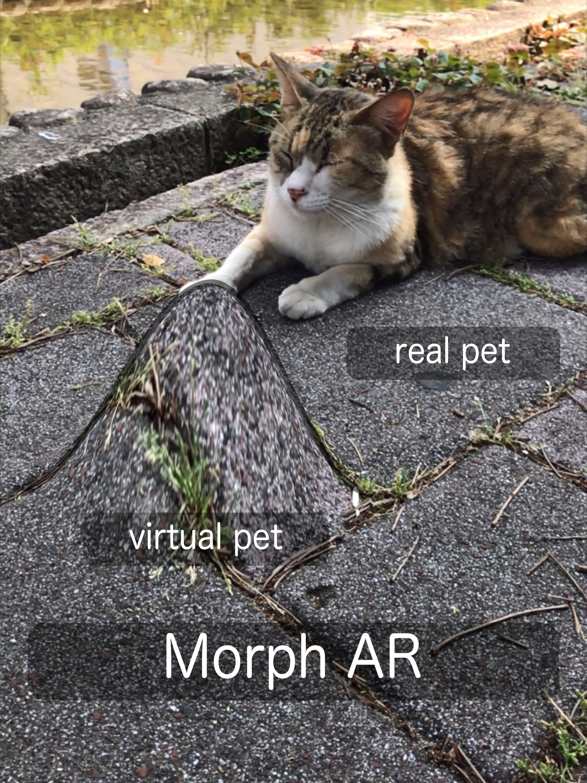 Morph AR